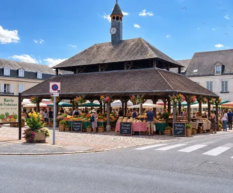 Agrandir l'image dans la page courante