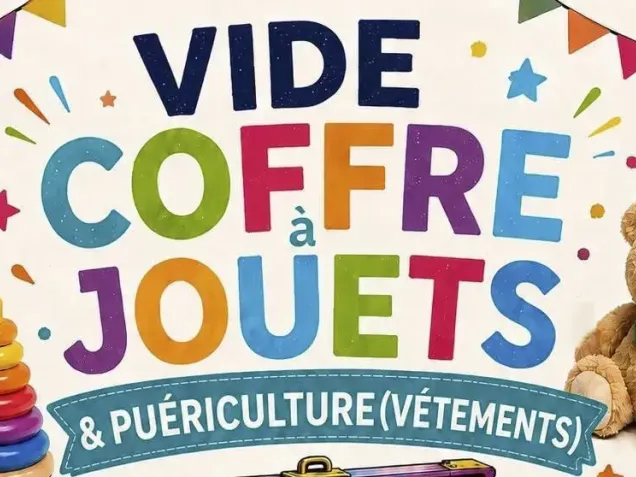 VIDE COFFRE A JOUETS